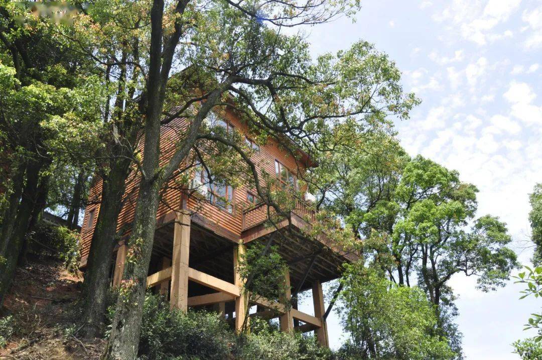 住就在西湖镇和贾嗣镇的分界路上,有一家当地特色菜,那就是石烧鸡,它