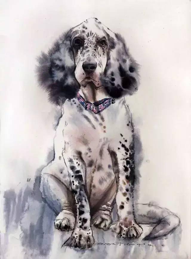 水彩画,毛茸茸的活灵活现!