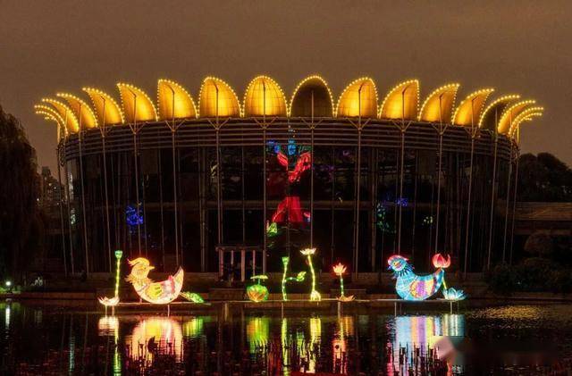 国潮夜游菊花文化北京世界花卉大观园双节绽放动态