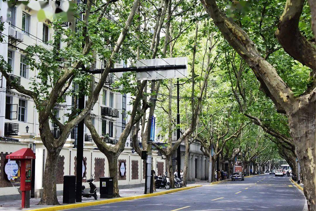 最爱愚园这条有故事的马路有着看不尽的风景