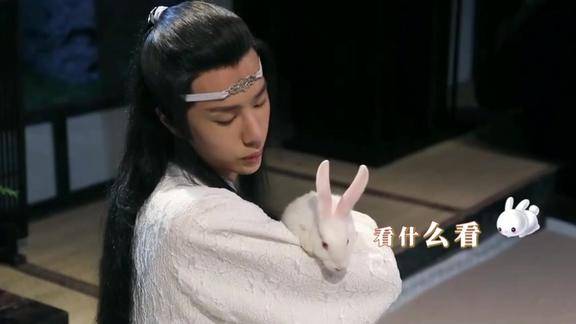 王一博抱着兔子好温柔啊可是据说一宝用兔子威胁过肖战