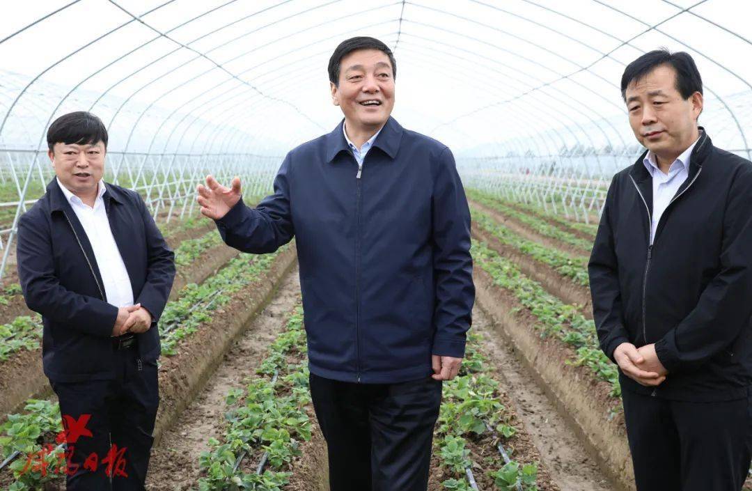 杨长亚到武功县兴平市调研