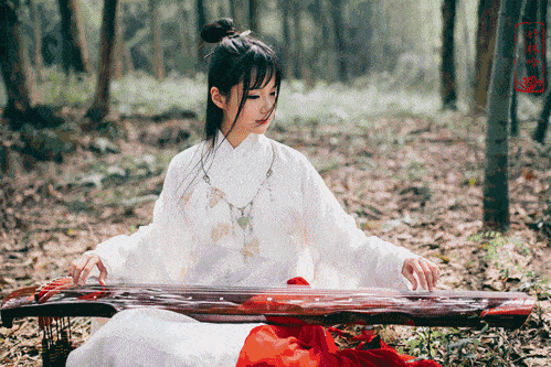 499_333gif 动态图 动图