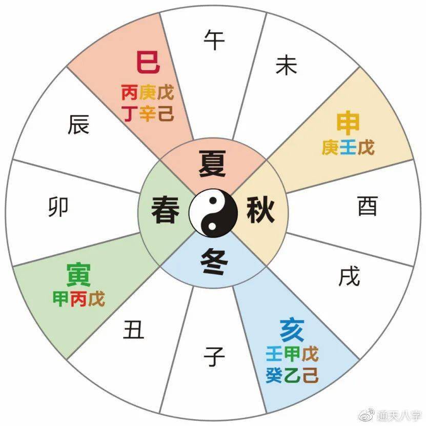 67张树旗:十二地支藏干的深刻揭秘_天干