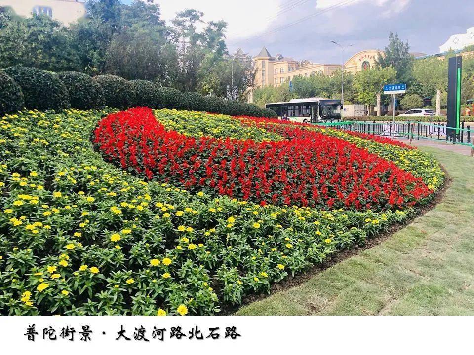 【双节同庆·道路花坛,花境,花箱②】走"新"又走"心",街头花卉扮靓