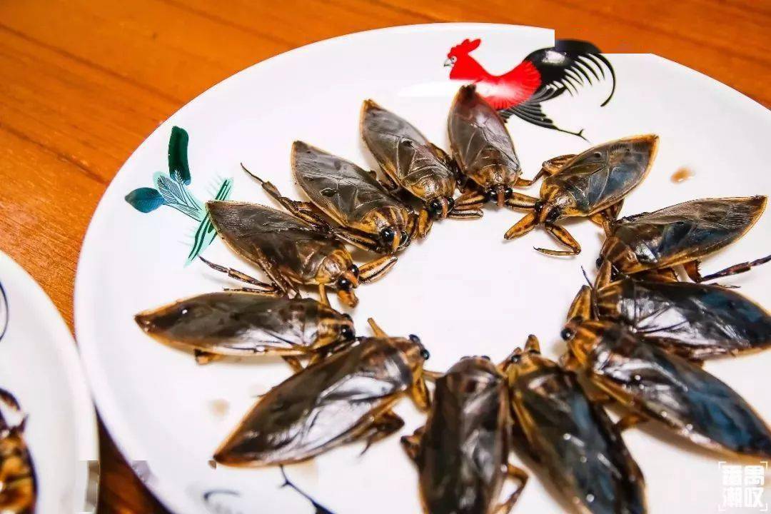 番禺钟村传闻有三宝:腊田鼠,龙虱,桂花蝉.
