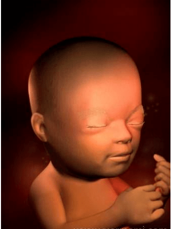 怀胎十月,各阶段胎儿发育图,原来肚子里的宝宝是这样!