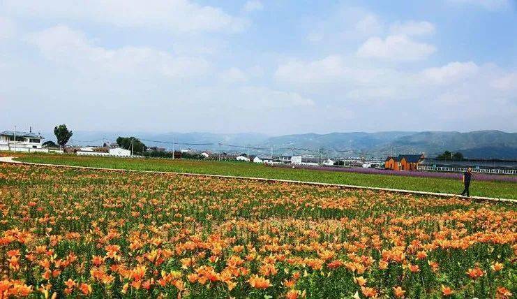   >生盖营村旁的蒙草百草园里风景如画,当百花盛开的时节,娇美馨香的