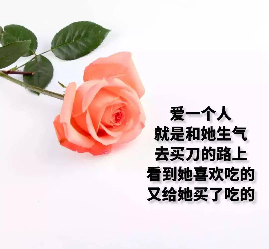 最浪漫的一段话