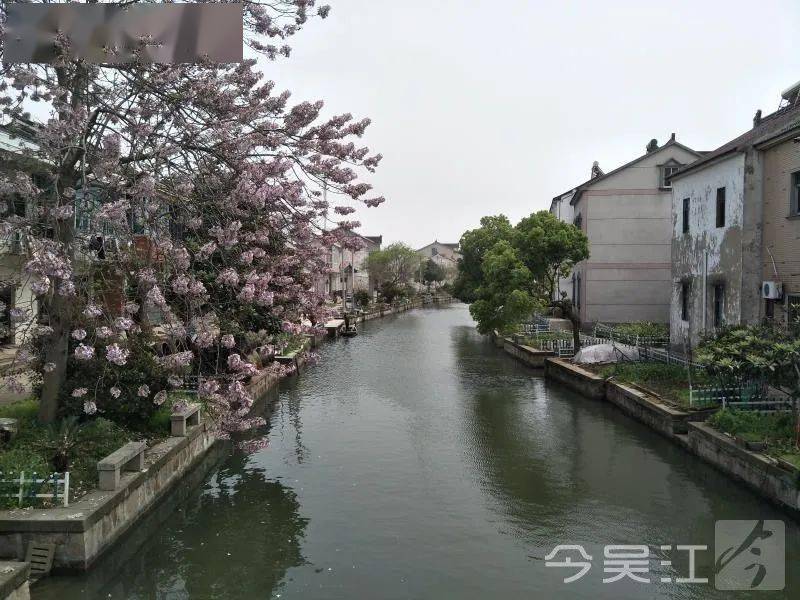 恭喜吴江这2个村上榜省级名单