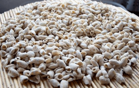 地道陕西话陕北方言圪托儿