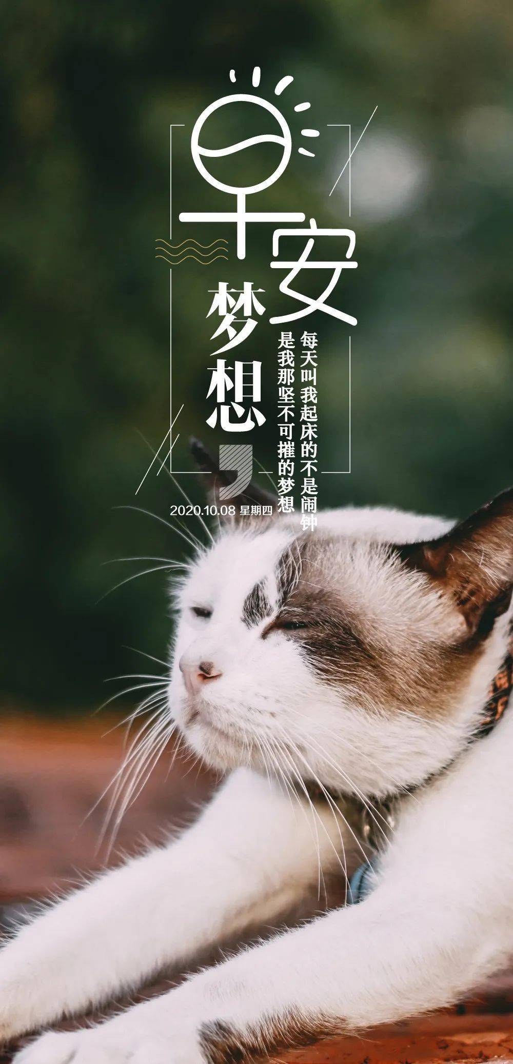10月8日早安心语正能量寒露最美早上好正能量的图片