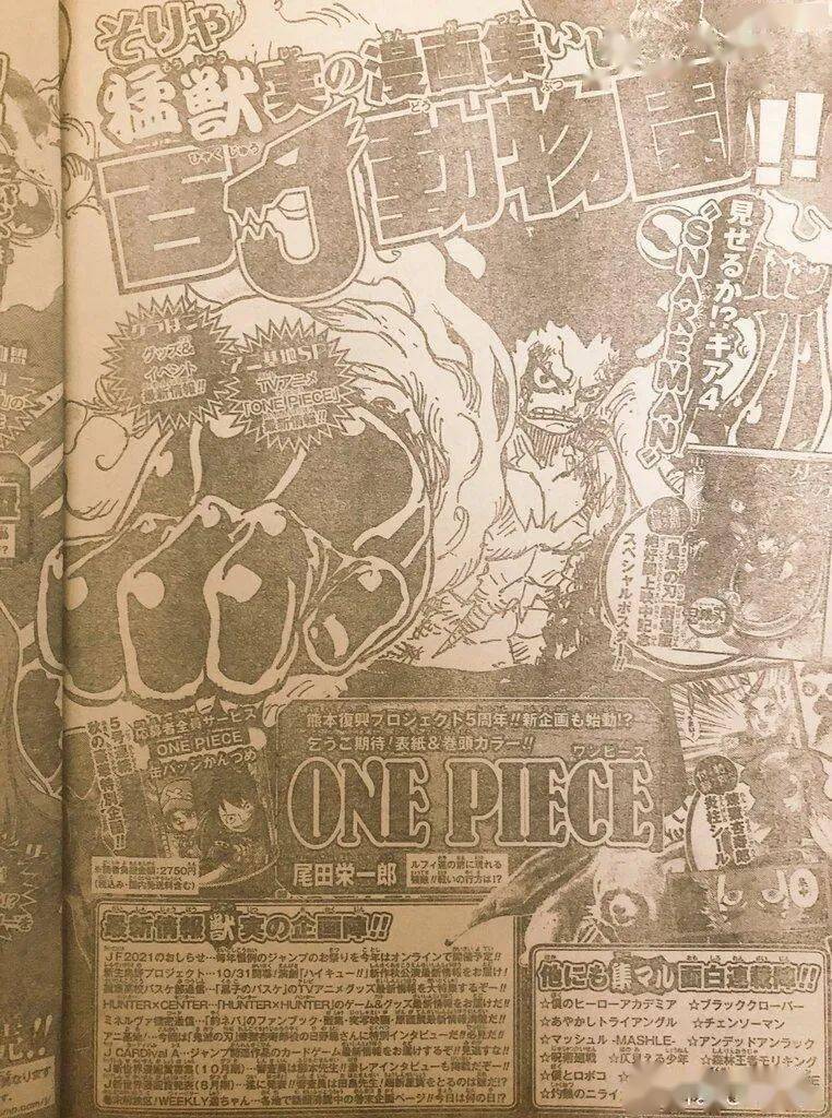 本周海贼王休刊,下周恢复连载 卷首彩页