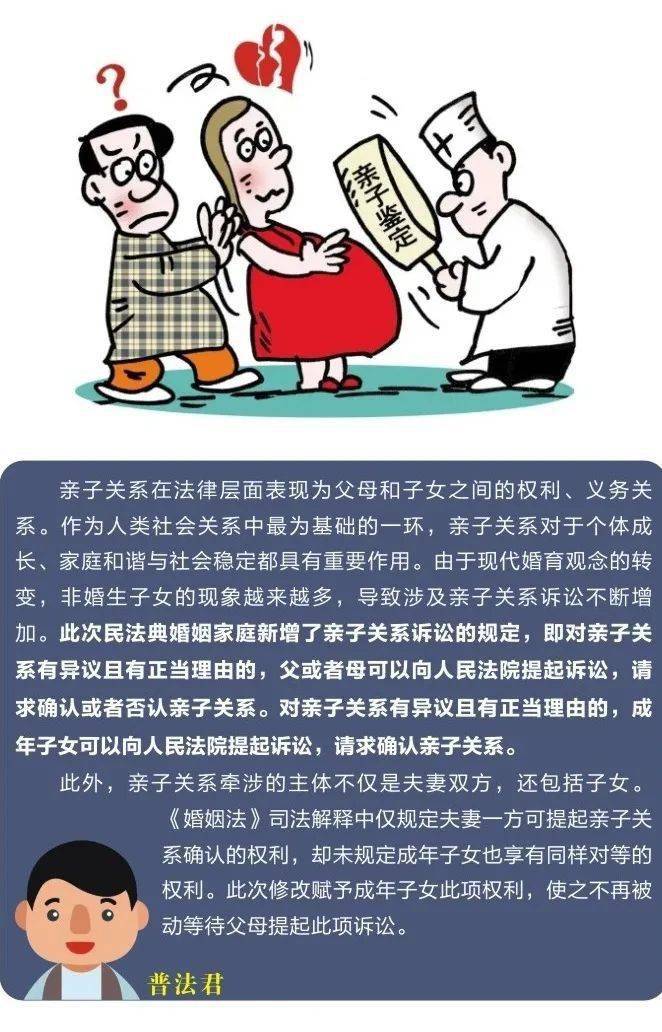 《民法典》亮点解析:婚姻家庭编