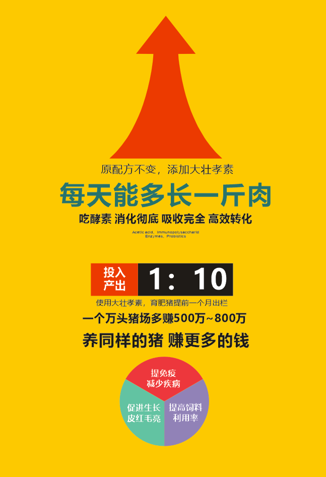 大飞龙无抗养殖之促生长篇——大壮孝素——每天多长一斤肉