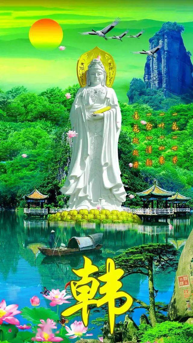中老年头像大全映日荷花别样红唯美高清的荷花手机壁纸100张