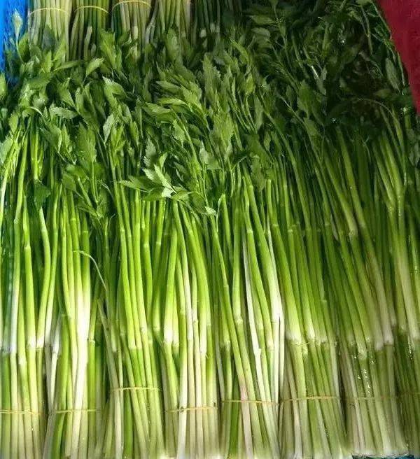 水芹菜是一种生长在池沼边,河边和水田的水生野菜,因外形与芹菜相似且