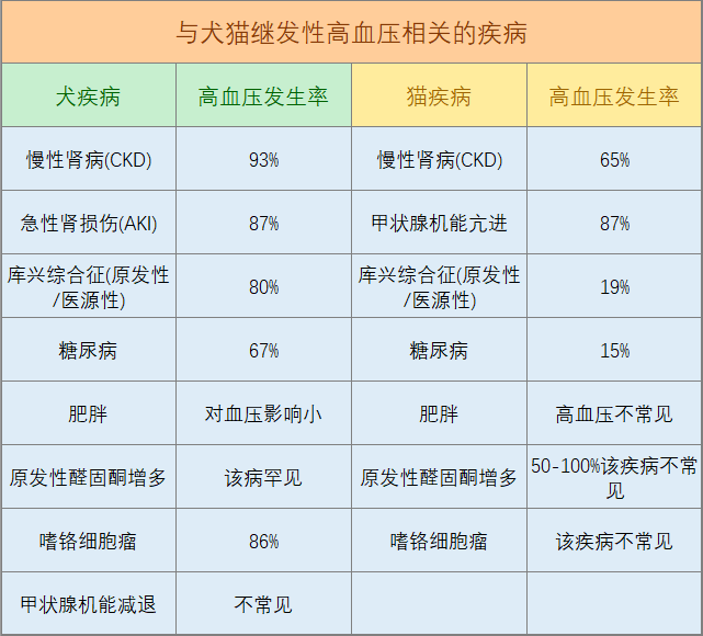 犬猫高血压的原因及其对肾脏功能的影响
