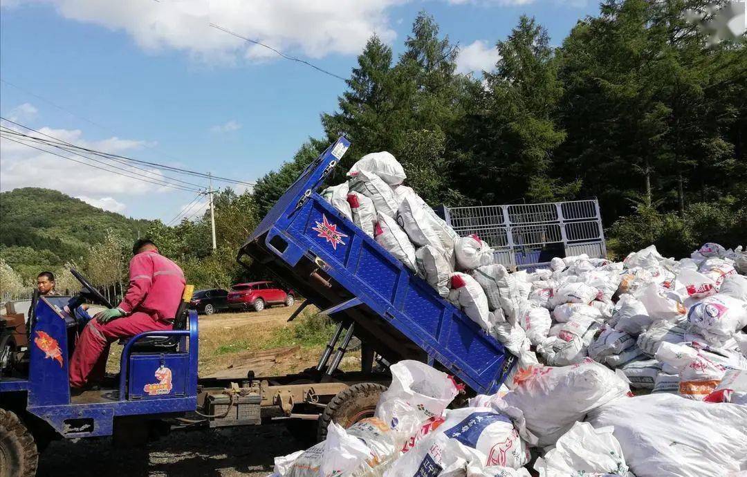台预计未来一周↓↓↓11日和15日我省有弱降雨,冷空气活动明显加强,11