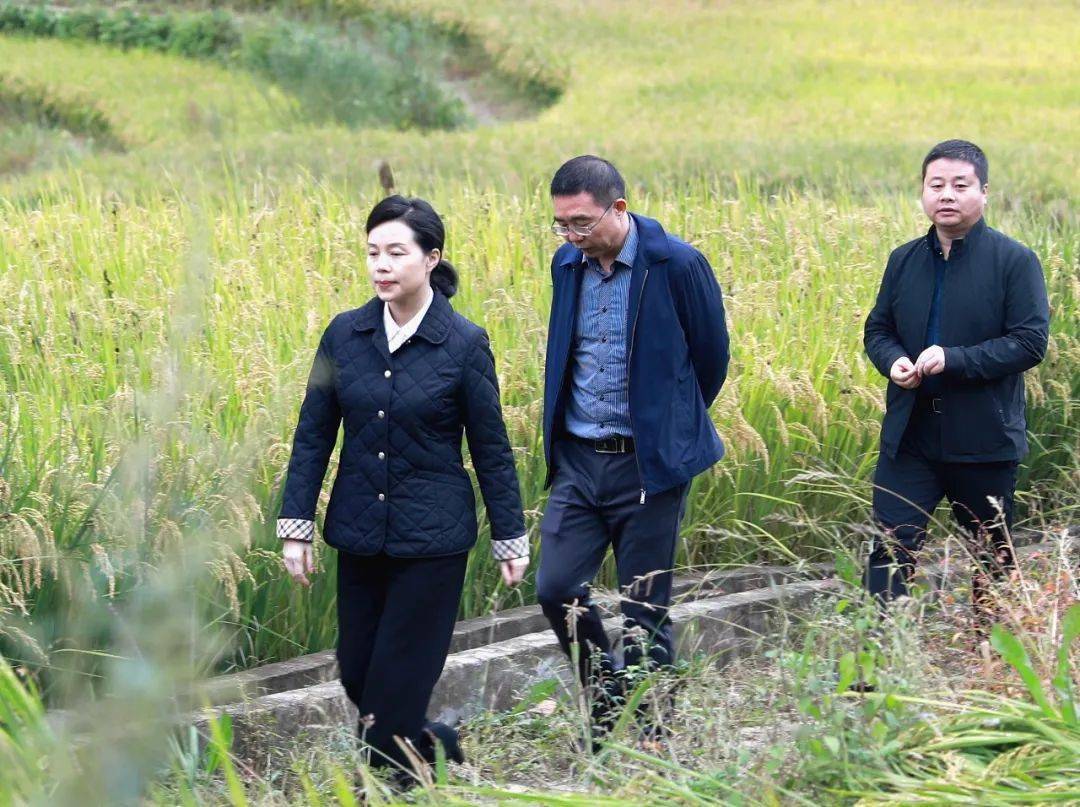 李芳到岳坝镇调研检查扶贫产业发展工作