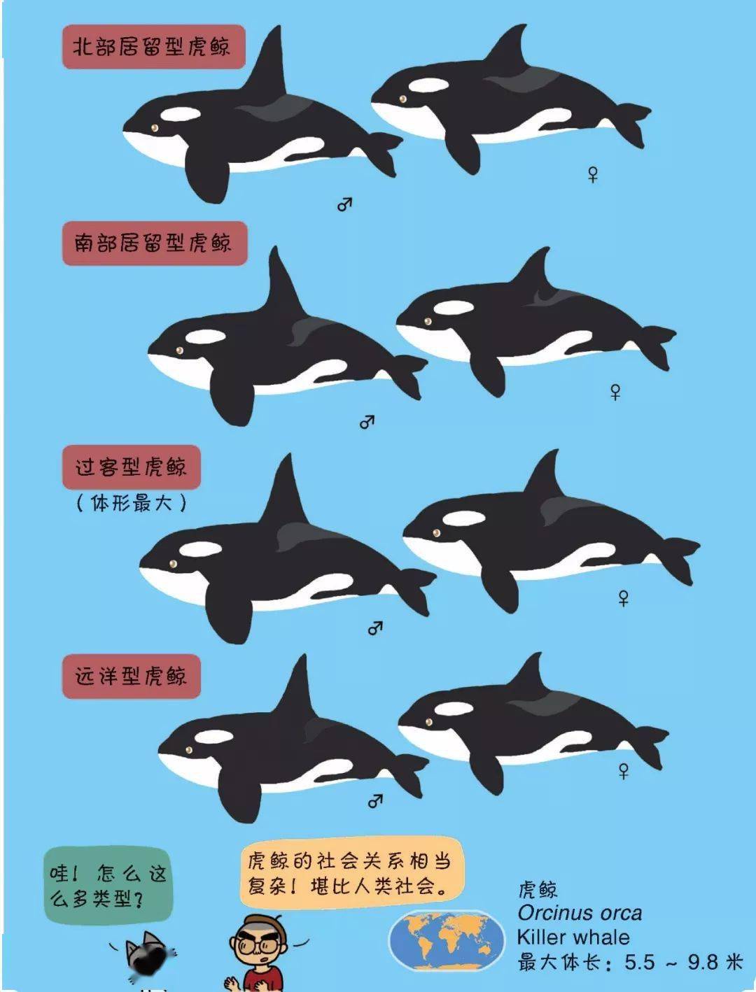 升级快把有趣的鲸豚和童心带回家