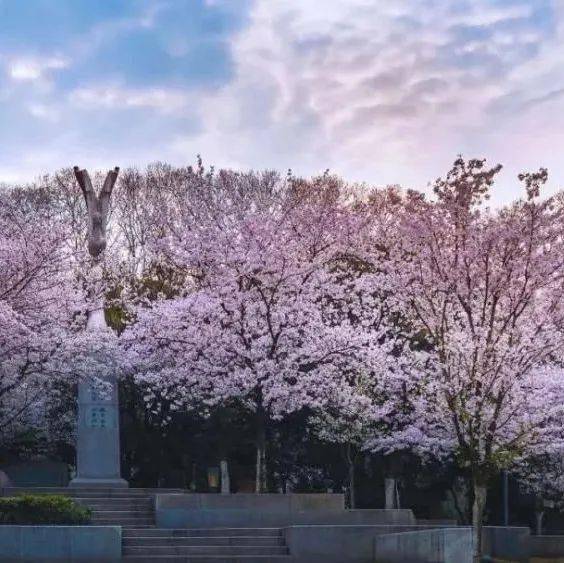 2厦门大学的美丽可以说是声名远扬,在厦门市热门景点推荐中,除却