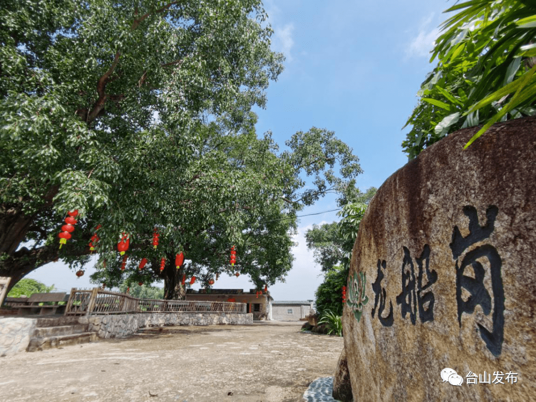 这是一场有广海"味道"的直播._台山