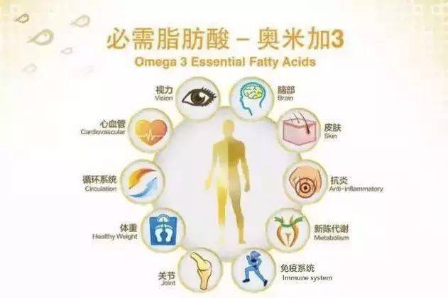人体为什么必需补充ω-3多不饱和脂肪酸呢?