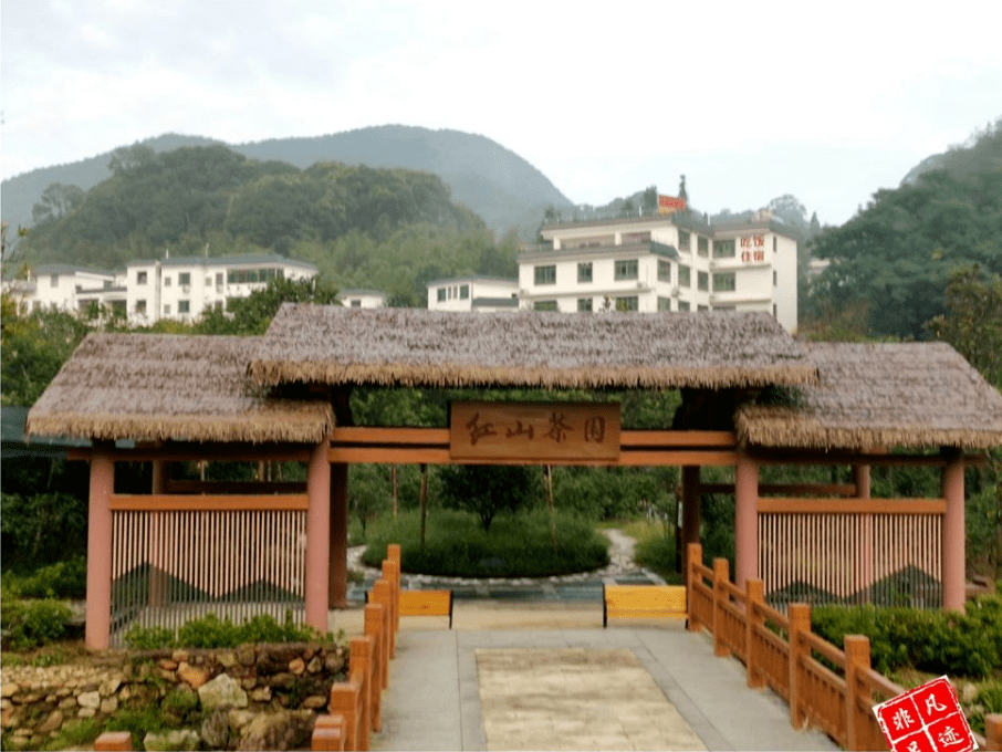 带你走进阿婆六茶花小镇核心区域——茶花谷;4.