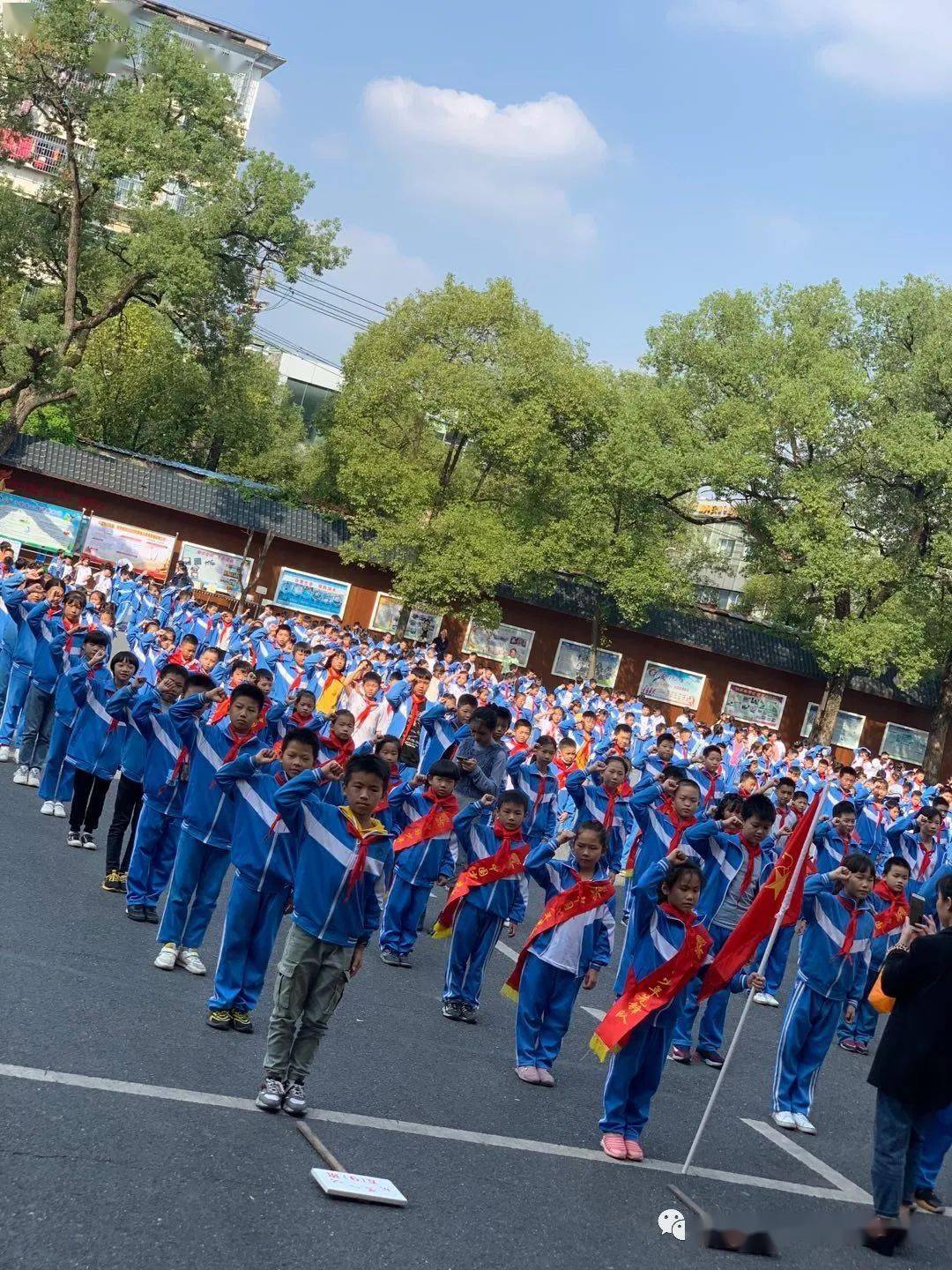 从小学先锋 长大做先锋