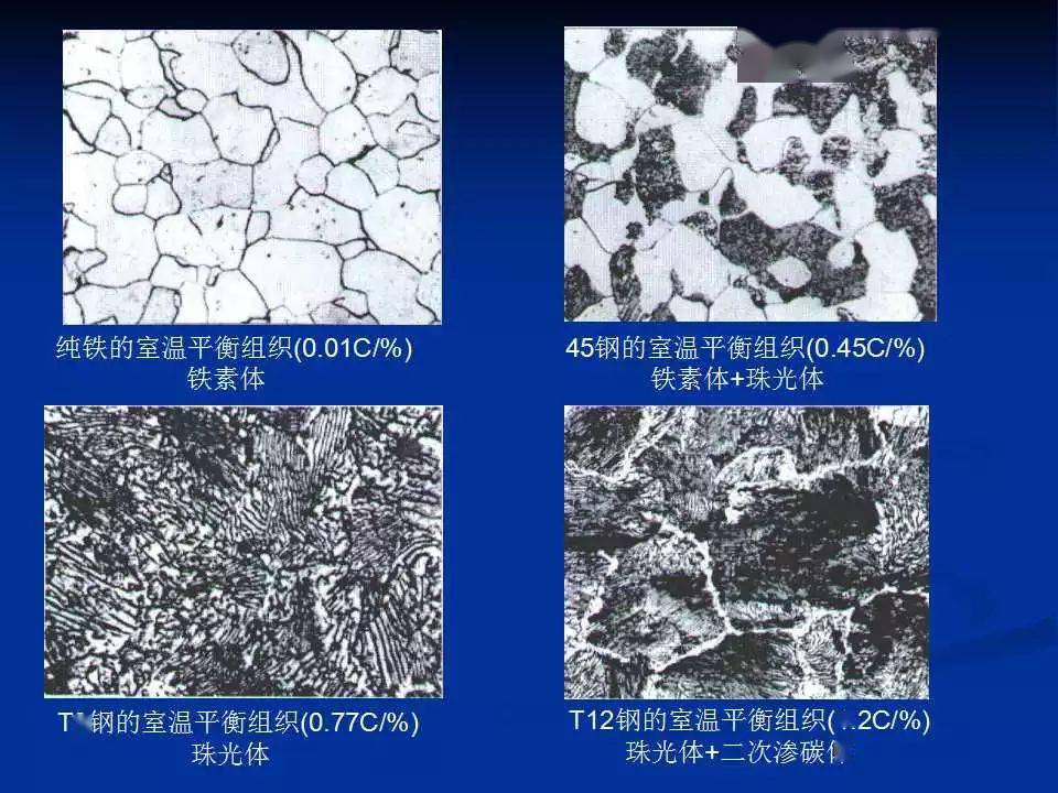 T10钢组织图片