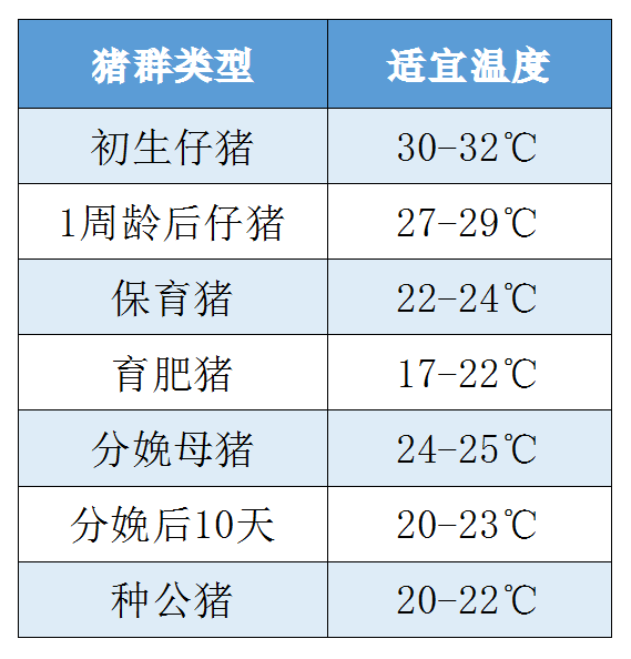 猪料肉比对照表照片图片