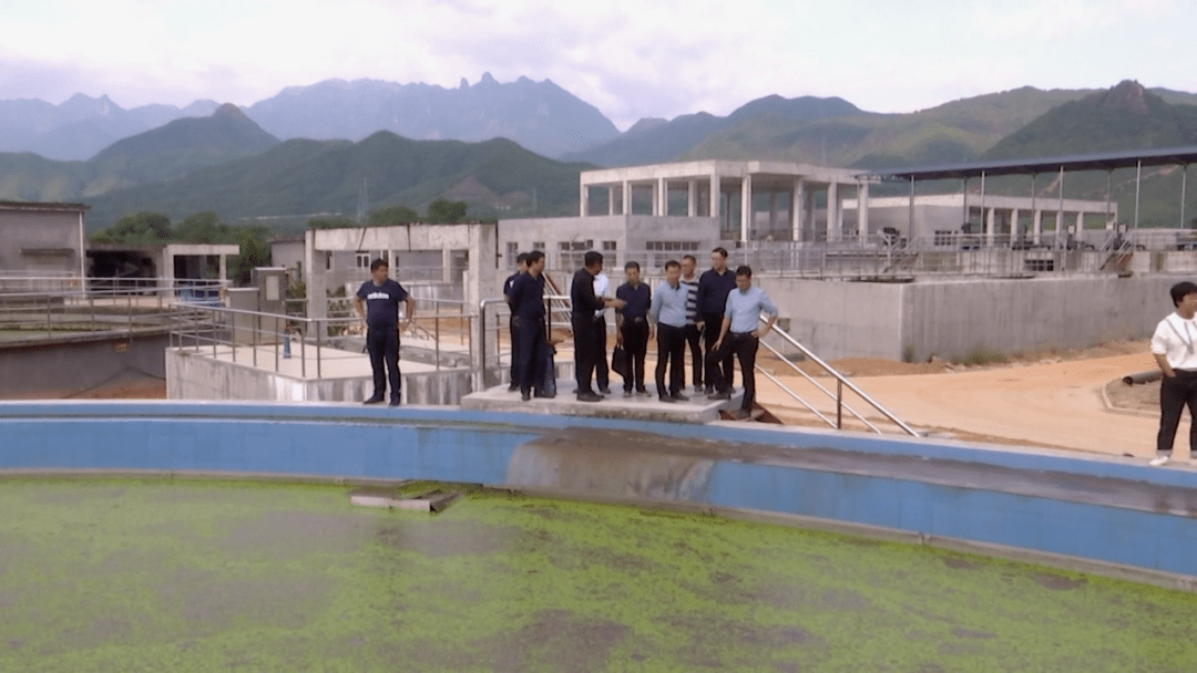 处理厂调研"环保管家"项目及污水处理工作情况,县政府副县长卢常传,叶