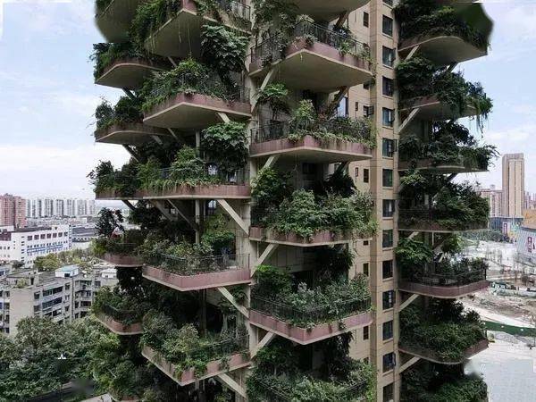 身陷"虫"围的国内首个第四代城市森林花园小区,目前只有10户入住