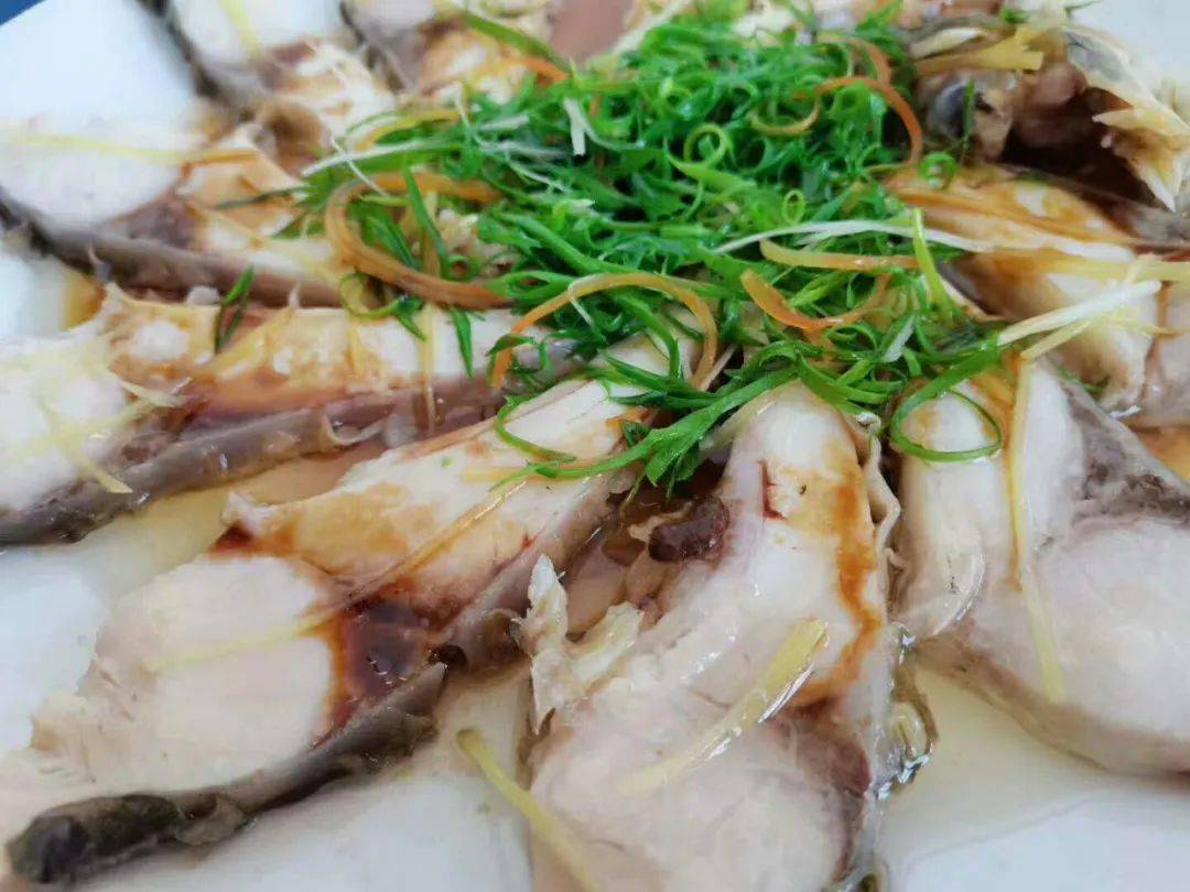 一条鱼称霸博白江湖十余年,听说好多人不服?_林鱼