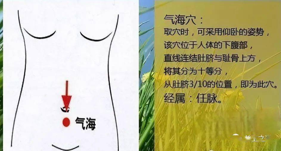 秋季气血不足,手脚冰凉的收藏好_关元