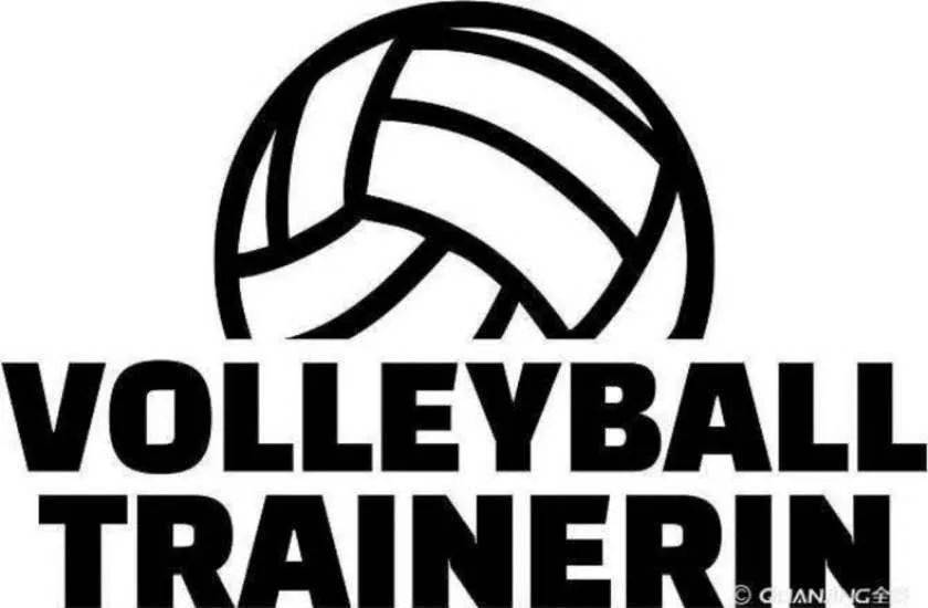 纳新致青春致排球