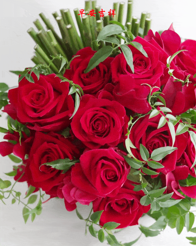 202061106113星期二《早安30心语》