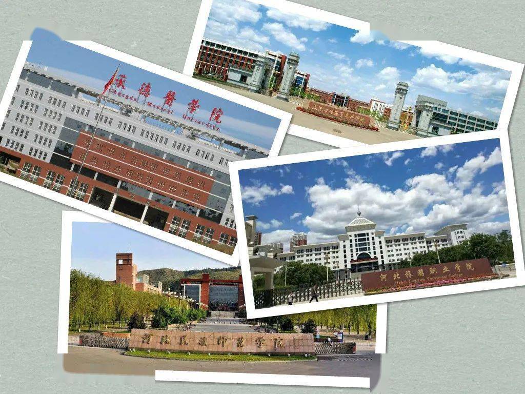 在河北省2020年申请设置高等学校的名单中,一个名为"河北石油职业技术