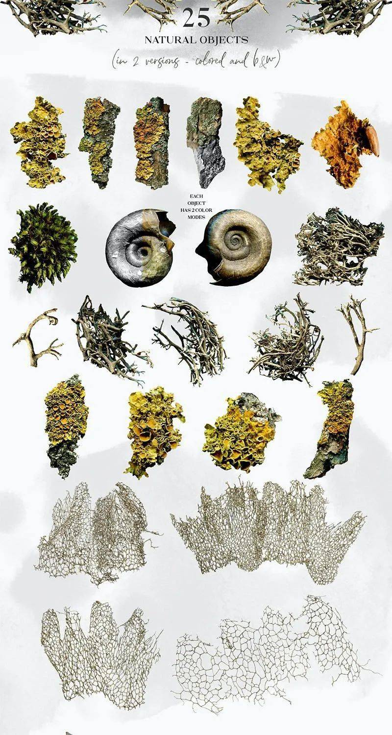 素材25个大自然物品元素背景图素材