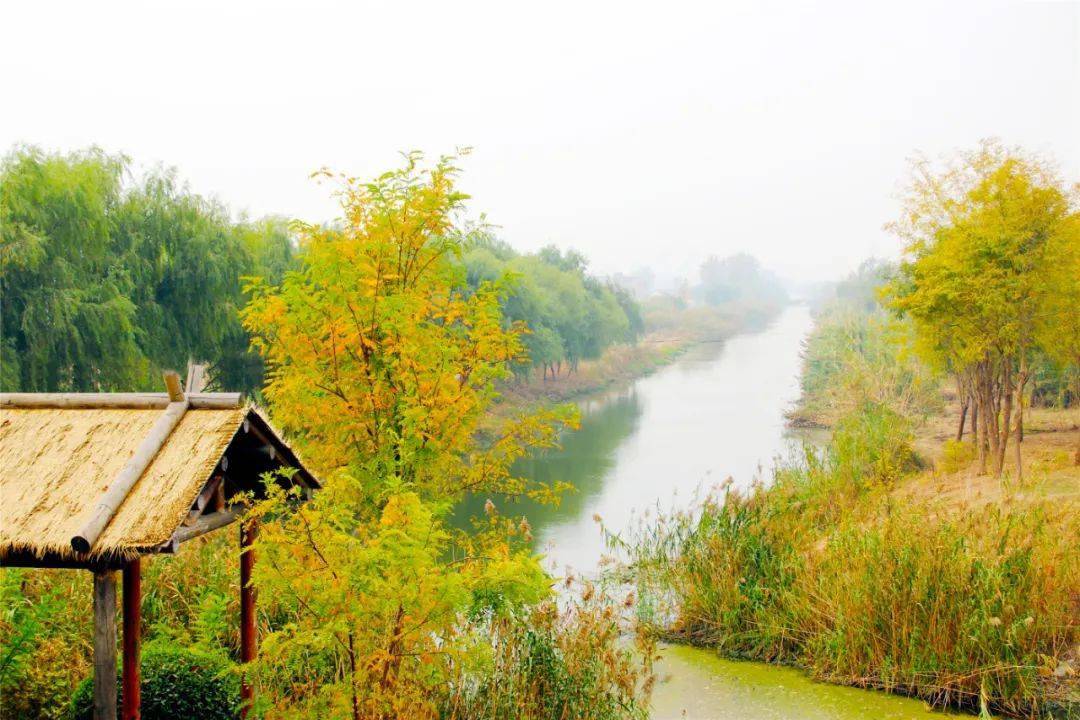 头条运河流新韵名城秋正好来吧游遍四周醉美泗州