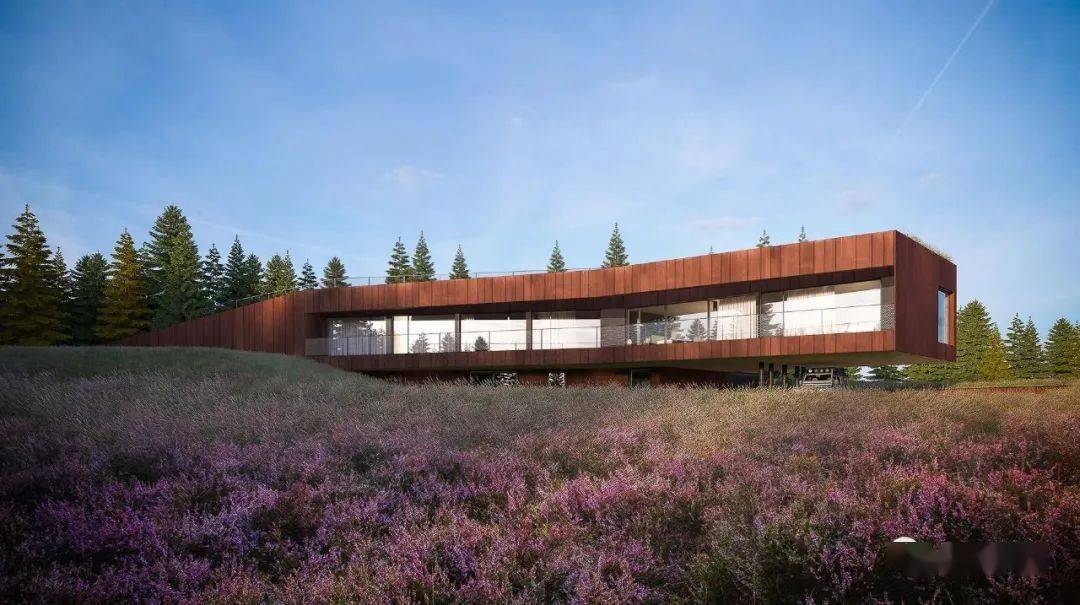 隐于环境的山间覆土住宅_建筑