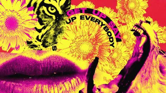 艾薇儿麻辣鸡dumbblonde