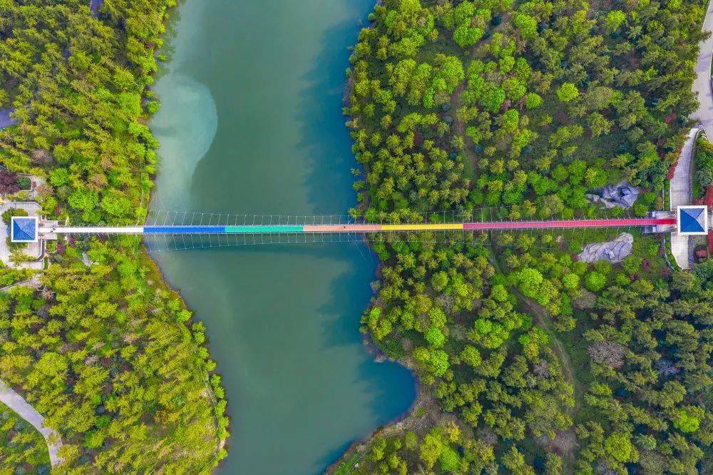 吊桥步步登顶白云朵朵 秋风习习天蓝蓝水清清遇见彩虹还要踏上彩虹