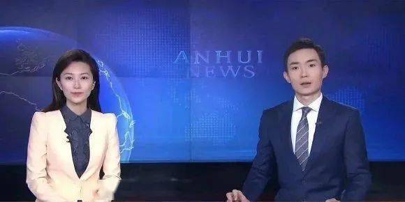 2019年,王子美进入安徽卫视,先后担任新闻中心出镜记者和新闻节目主持