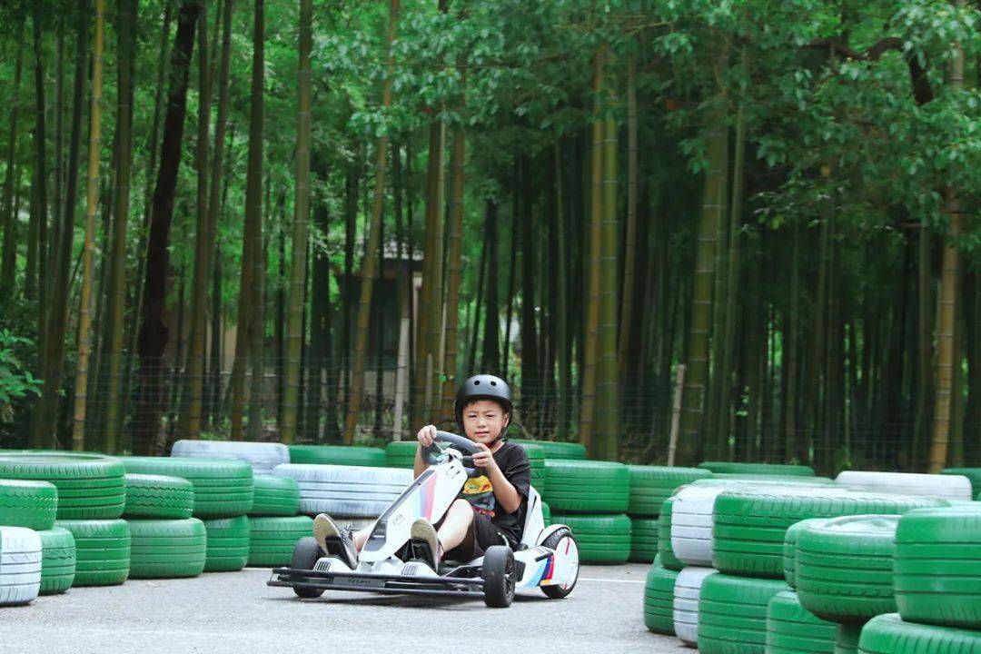 400亩竹林茶园环绕,亲子乐园,跑跑卡丁车,萌宠喂养.