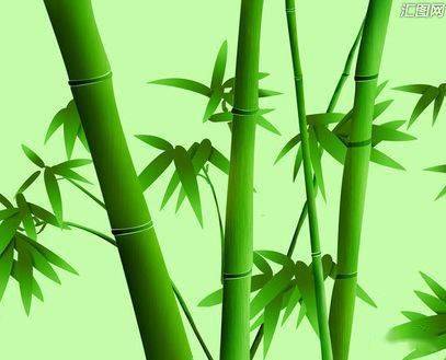 好看的竹子头像 旺财图片