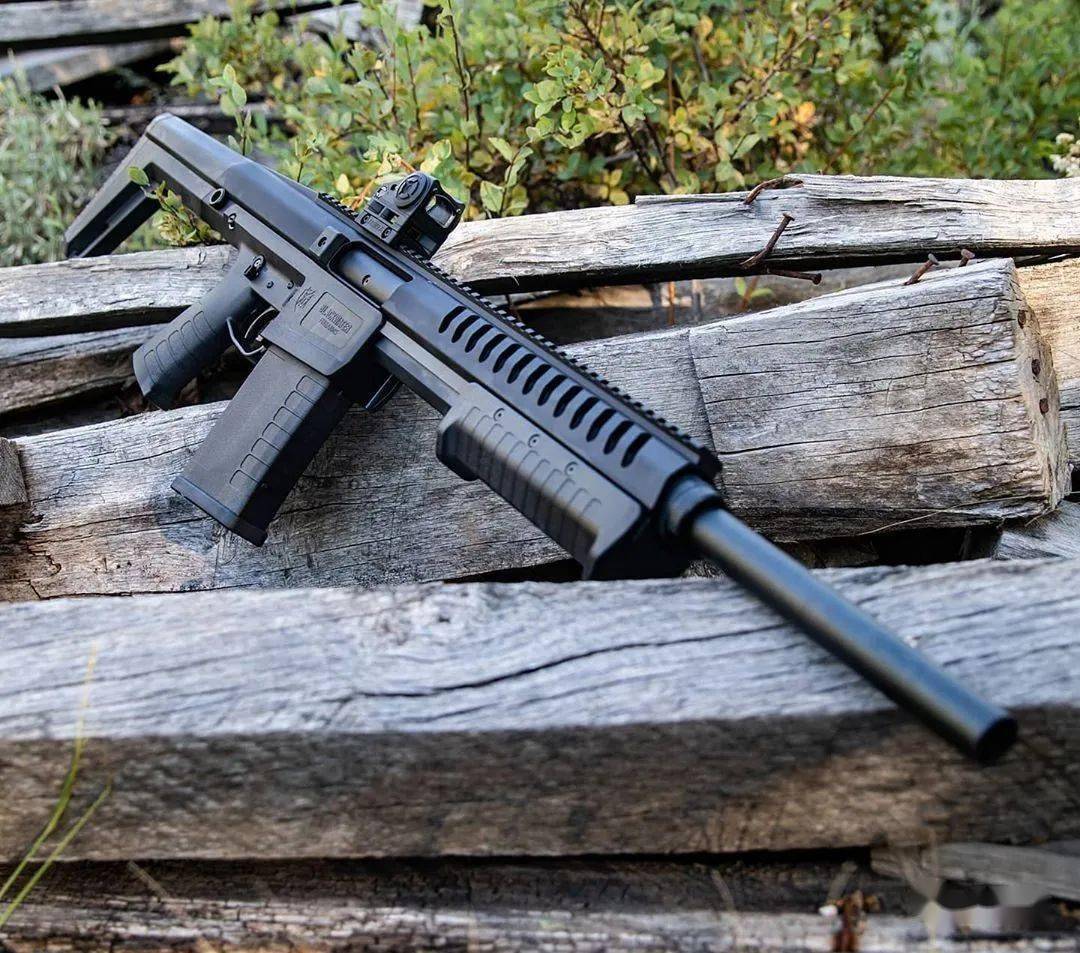 【又见黑水】sentry 12霰弹枪图集