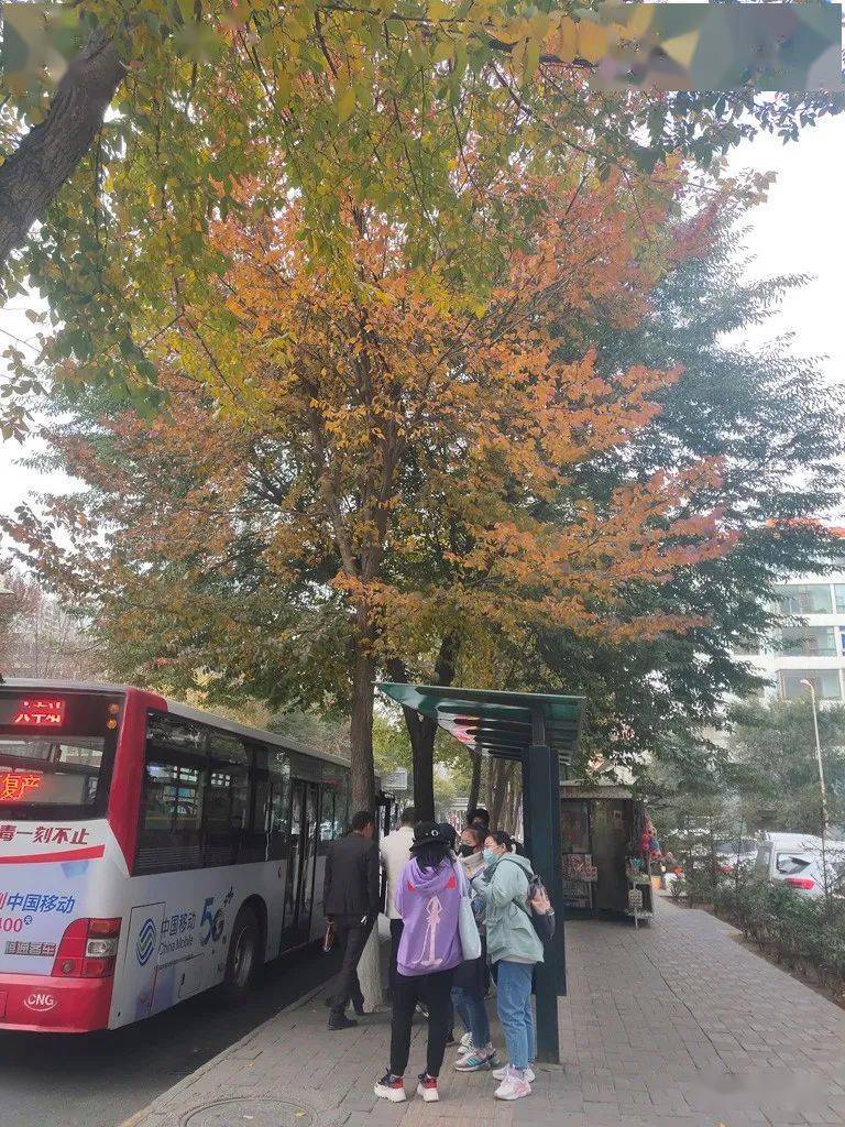 古明川 | 尕庄车站_西宁市