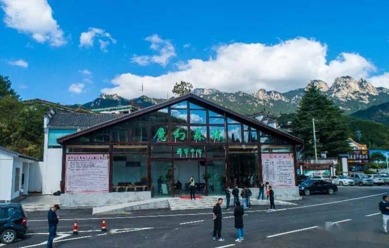 漫步天柱山魔幻森林开启你的梦幻旅行